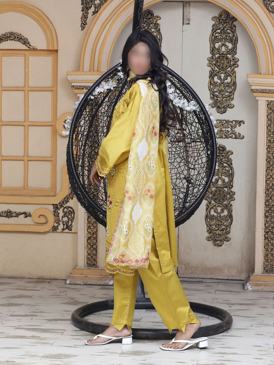 3 Piece stitched  Signature Minakari Lawn Suit - SM-108